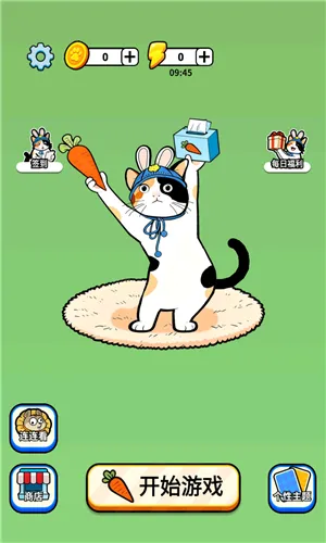 成语接龙猜汉字拼词语、休闲放松、关卡闯关、文字剧情、Q版卡通、竖版手游、休闲竖版、卡通解压、文字单机