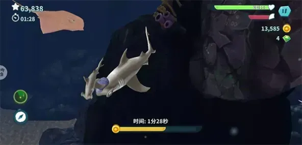 Hungry Shark