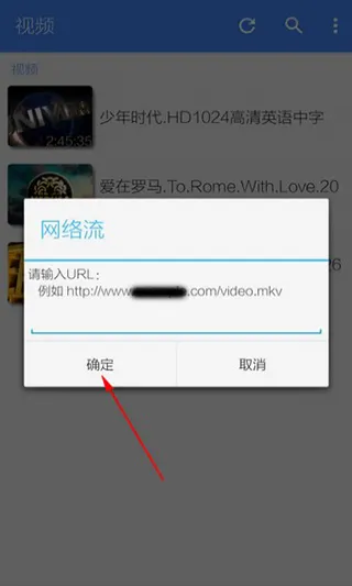 MX Player Pro | MX 播放器专业版