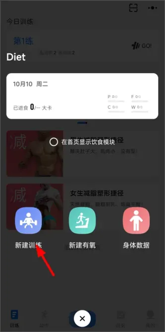 SynFit | 训记