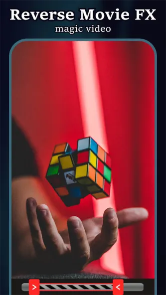 Reverse 应用截图 4
