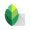 Snapseed 应用图标