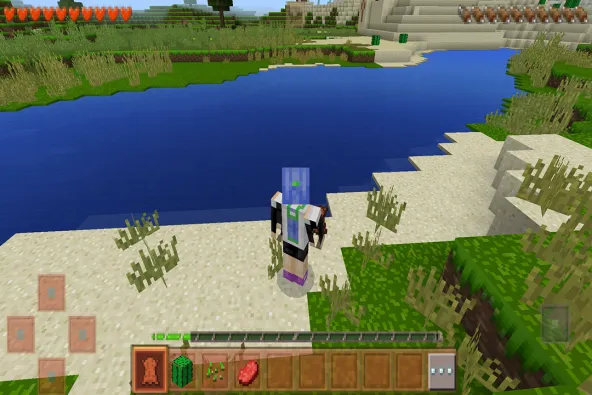 生存战争2 游戏截图 5