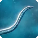 Bionix安装器 游戏图标