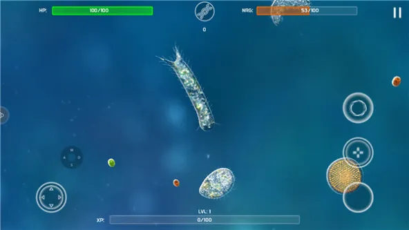 Bionix安装器