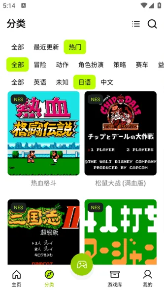 飞鸟 游戏截图 4