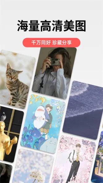 堆糖 应用截图 3
