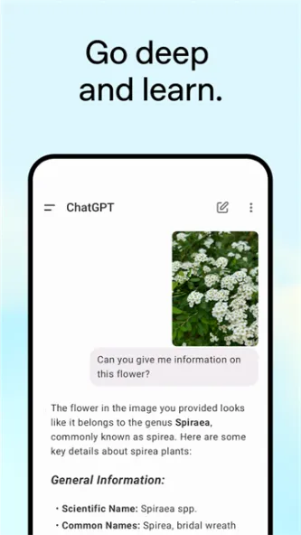 ChatGPT 应用截图 3