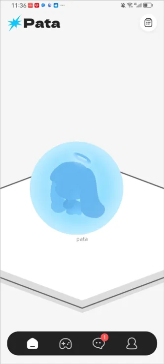 Pata